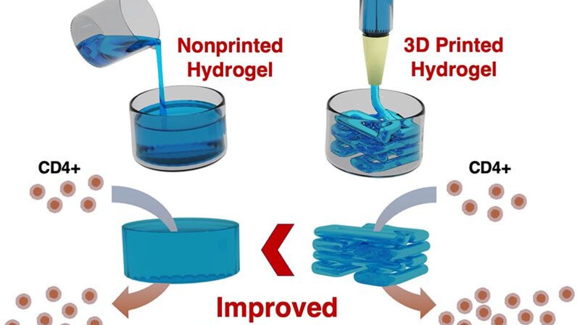 3D Printing as a Strategy to Scale-Up Biohybrid Hydrogels for T Cell Manufacture