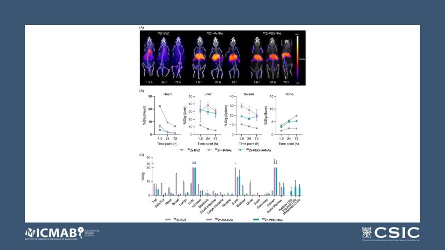 Biodistribution of 89Zr-Radiolabeled Nanoassemblies for Monoclonal Antibody Delivery Revealed through In Vivo PET Imaging