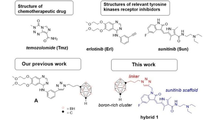 Bimodal Therapeutic Agents Against Glioblastoma, One of the Most Lethal Forms of Cancer