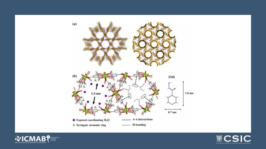 Supercritical CO2 assisted bioMOF drug encapsulation and functionalization for delivery with a synergetic therapeutic value