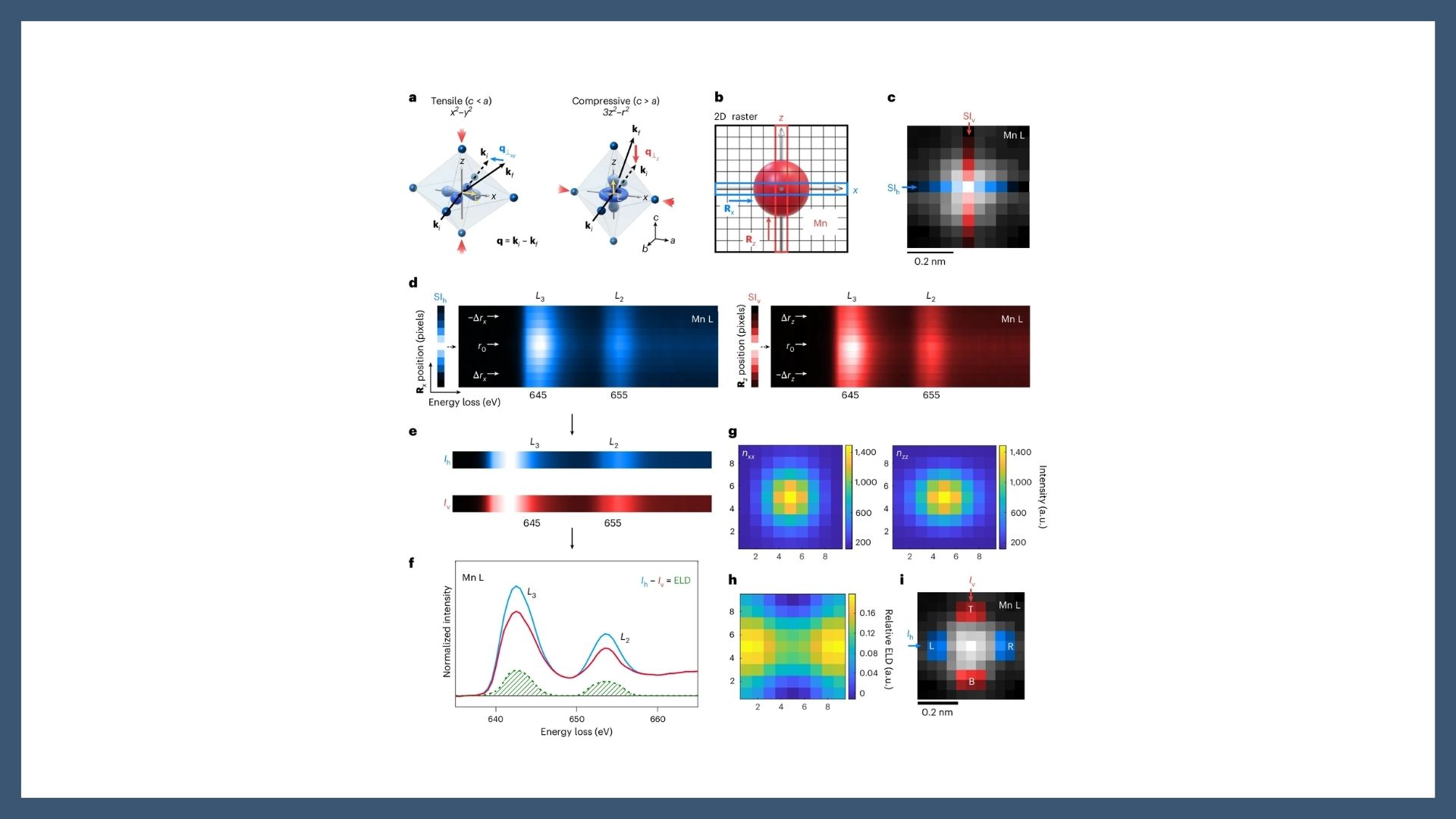 01 06 2026 web