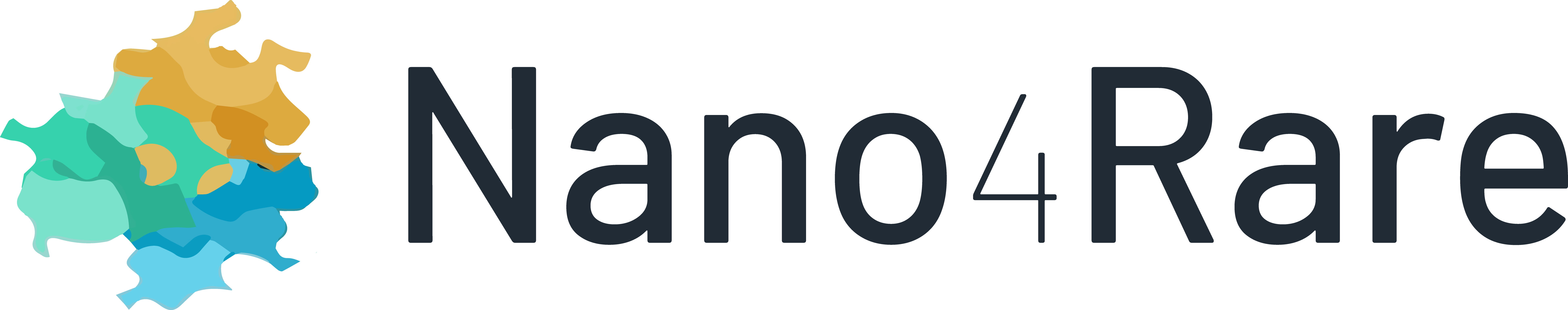 LOGO-NANO4RARE.png