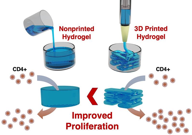 ICMAB - 3D Printing as a Strategy to Scale-Up Biohybrid Hydrogels for T ...