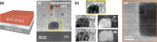 Unfolding the Challenges To Prepare Single Crystalline Complex Oxide Membranes by Solution Processing