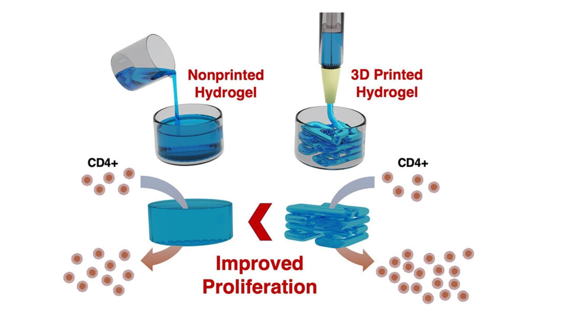 ICMAB - Biohybrid hydrogels and 3D printing to synthesize large amounts ...