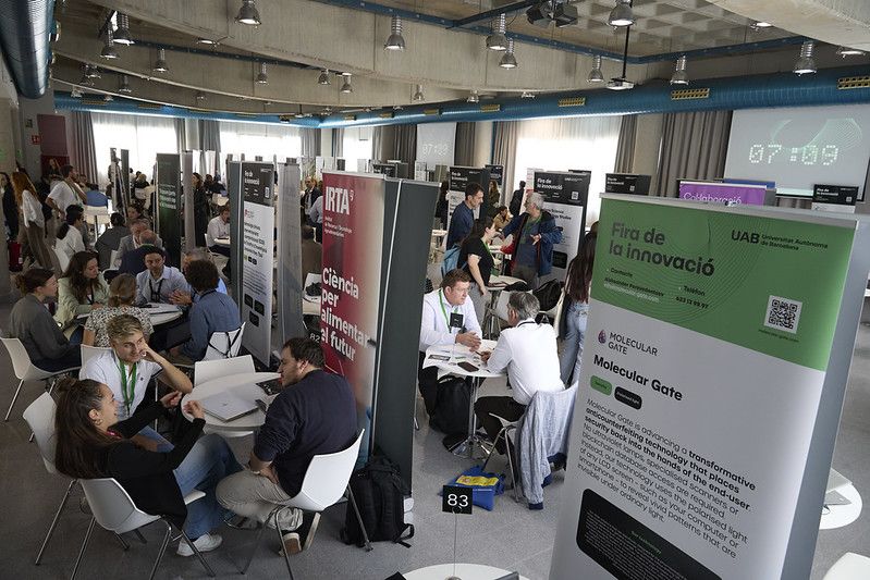 innovacio uab post 3