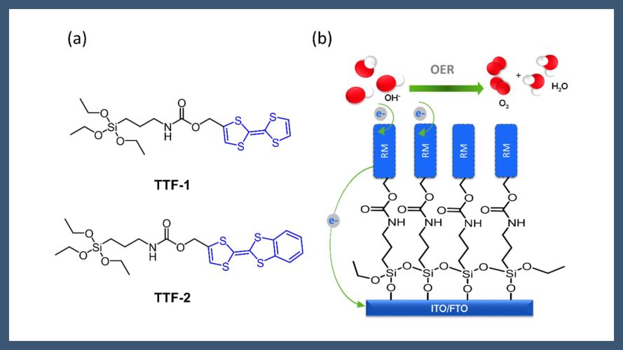 Immobilising molecular redox mediators for the oxygen evolution reaction using self-assembled monolayer