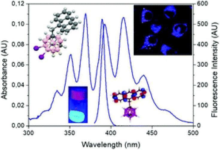 Efficient blue light emitting materials based on m-carborane–anthracene dyads. Structure, photophysics and bioimaging studies