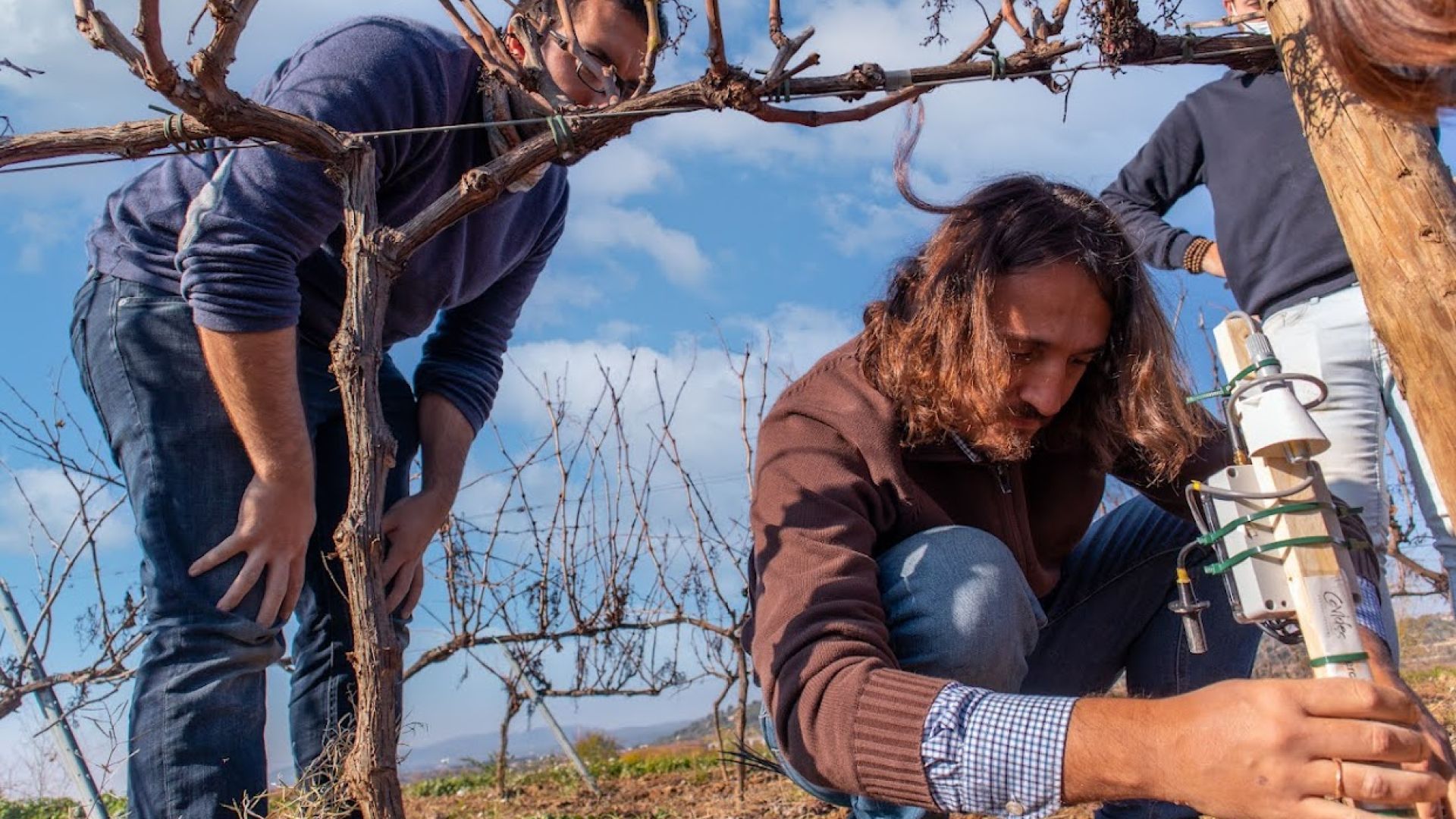 Digging the whole for the IoT wireless sensors in COVIDES vineyards | ICMAB-CSIC