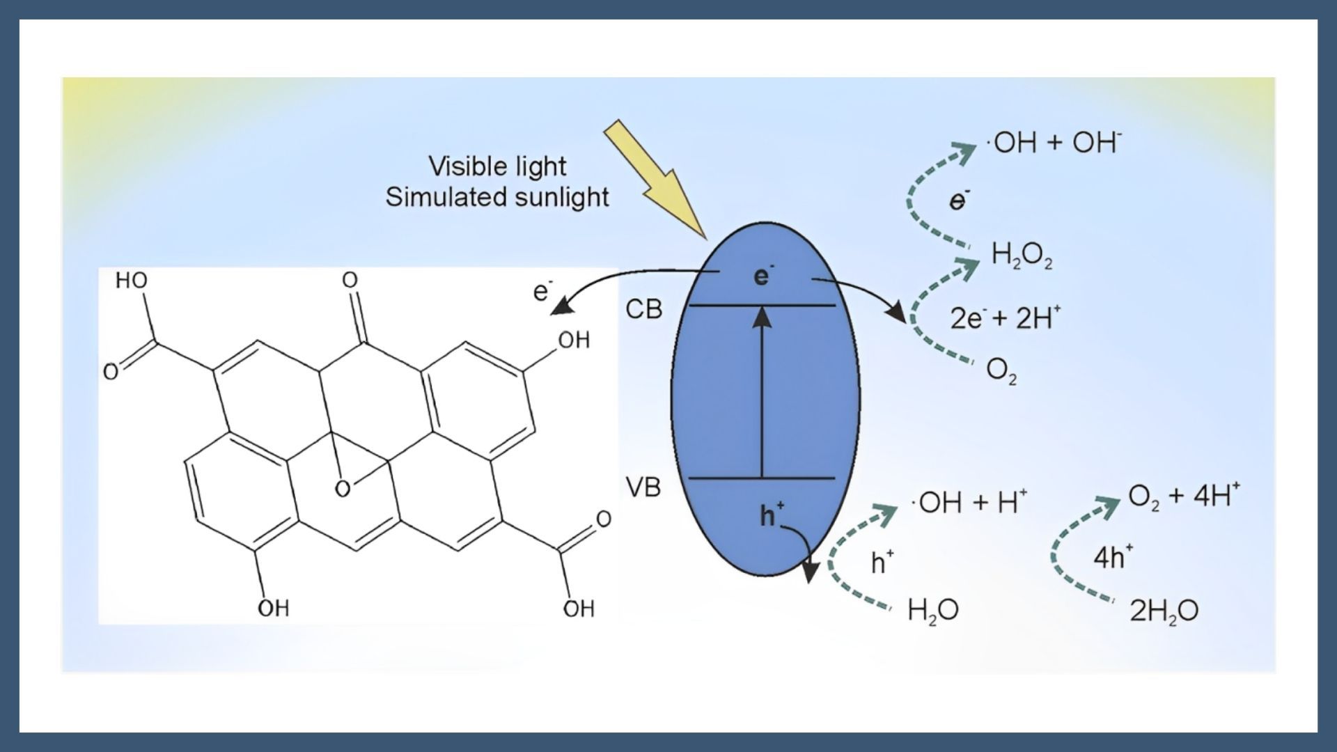 Mg doped Ti oxide/reduced graphene oxide nanohybrid photocatalysts for decomposition of nucleic acid molecules and Saccharomyces cerevisiae yeast cells under visible- and simulated sunlight