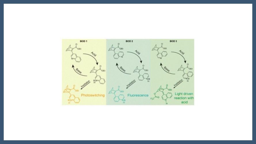 Photoswitching behaviour of quinoline-substituted bicyclooctadienes and the role of protonation