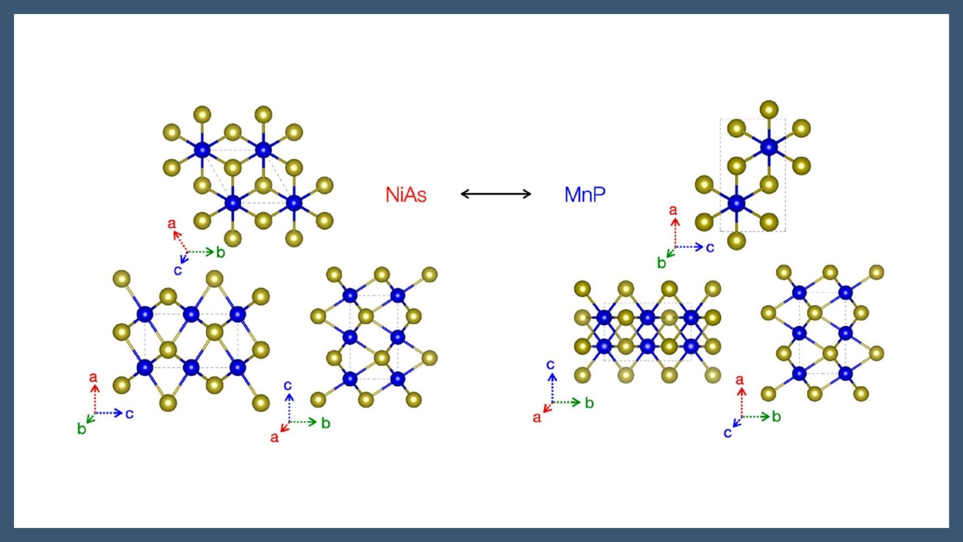 Lattice Dynamics Across the High-Pressure Phase Transition in CrTe