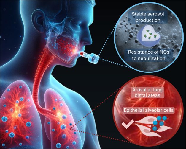 Efficient Nebulization and Pulmonary Biodistribution of Polymeric Nanocarriers in an Acute Lung Injury Preclinical Model