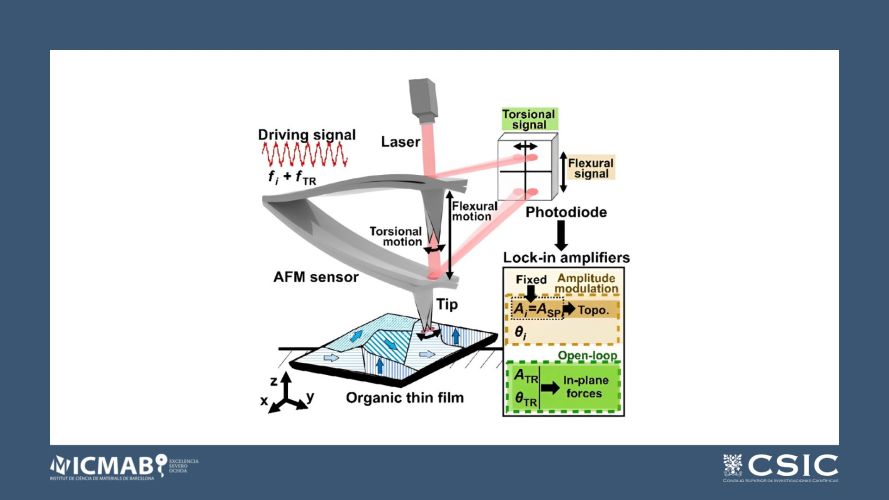 Bimodal Atomic Force Microscopy with a Torsional Eigenmode for Highly Accurate Imaging of Grain Orientation in Organic Thin Films
