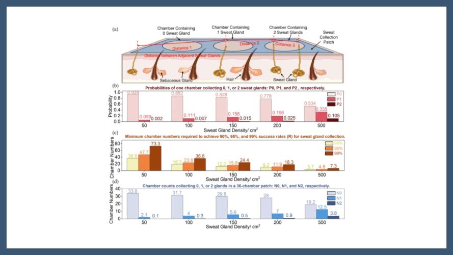 Single-Gland-Level Sweat Sampling: A Theoretical and Computational Approach Toward Improved Biomarker Accuracy in Wearable Sensors