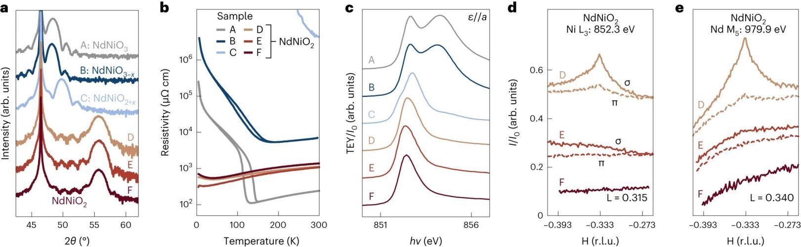 Absence of 3a0 charge density wave order in the infinite-layer nickelate NdNiO2