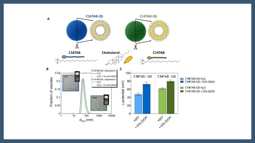 Quatsome nanovesicles as antibacterial platform: Mechanistic insights into their activity against planktonic and biofilm Staphylococcus aureus