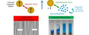 Summary of effects in magnetophoresis due to magnetic and hydrodynamic interactions beyond the classical model. The cartoon indicates the physical interactions behind the cooperative effect and the magnetic-induced convection, illustrated by the images