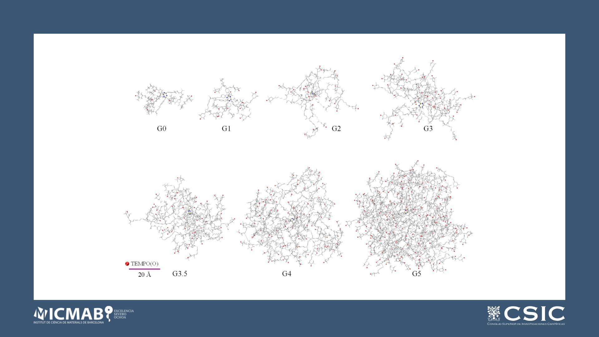 Synthesis and Relaxivity study of amino acid-branched radical dendrimers as MRI contrast agents for potential brain tumor imaging