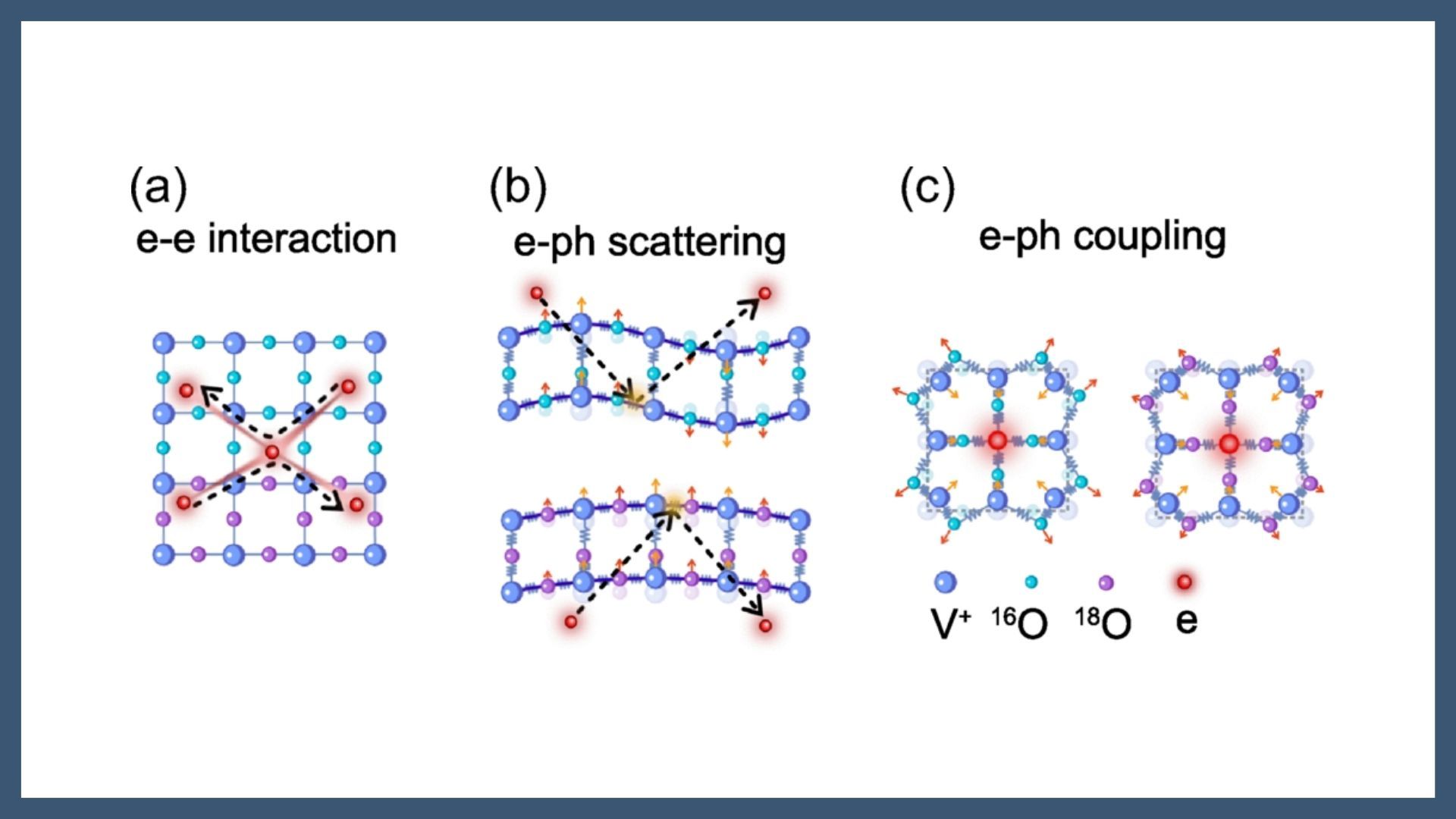 Oxygen Isotope Fingerprints of Electron-Phonon Coupling in SrVO3 Films