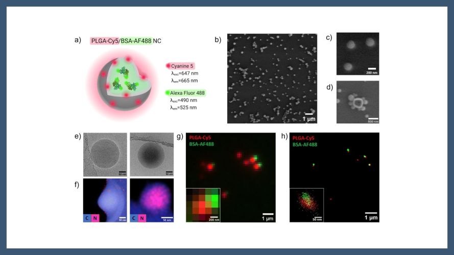STORM as a tool to track cargo release from polymeric nanocarriers at the single-particle level