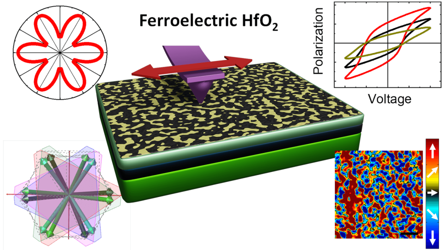 Vector piezoelectric response and ferroelectric domain formation in Hf0.5Zr0.5O2 films
