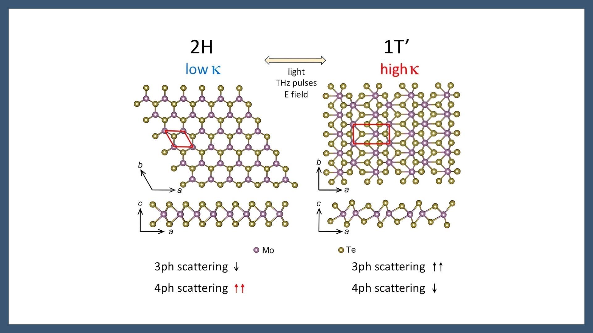 Giant Thermal Switching via Phase Transition in MoTe2