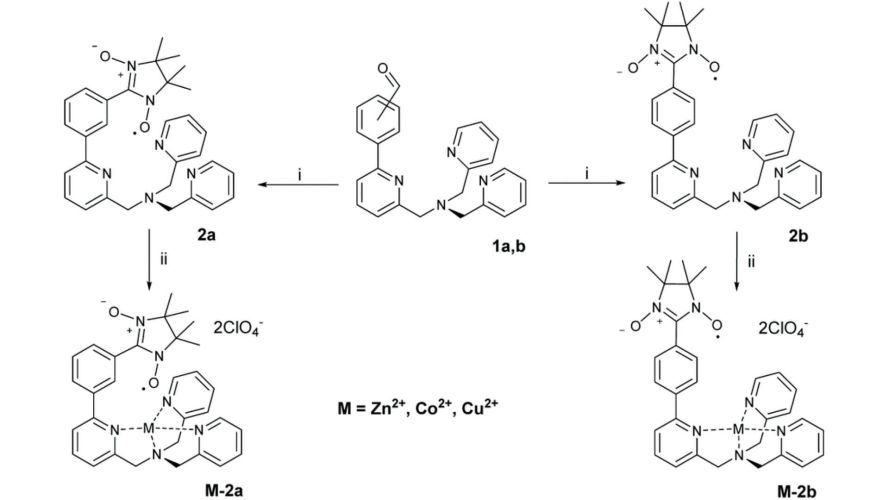 Tris-pyridylmethylamine (TPMA) complexes functionalized with persistent nitronyl nitroxide organic radicals
