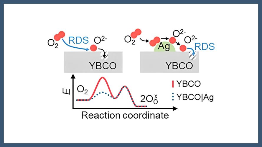 Oxygen incorporation in YBa2Cu3O7−δ thin films: surface activation and degradation