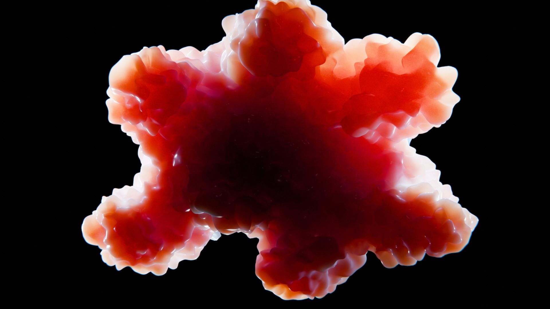 Organoid tissue produced in vitro | i-Stock image