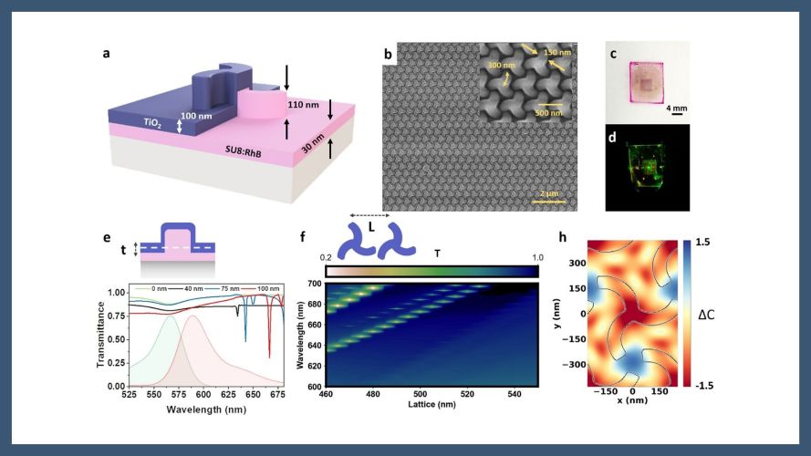 Near-Unity Chiral Lasing Enabled by Quasi-Bound States in the Continuum