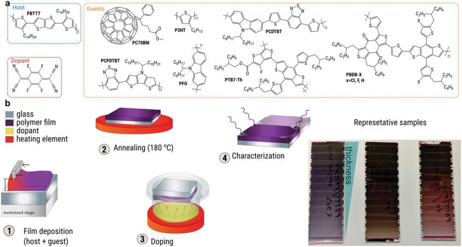 Design Rules for Polymer Blends with High Thermoelectric Performance
