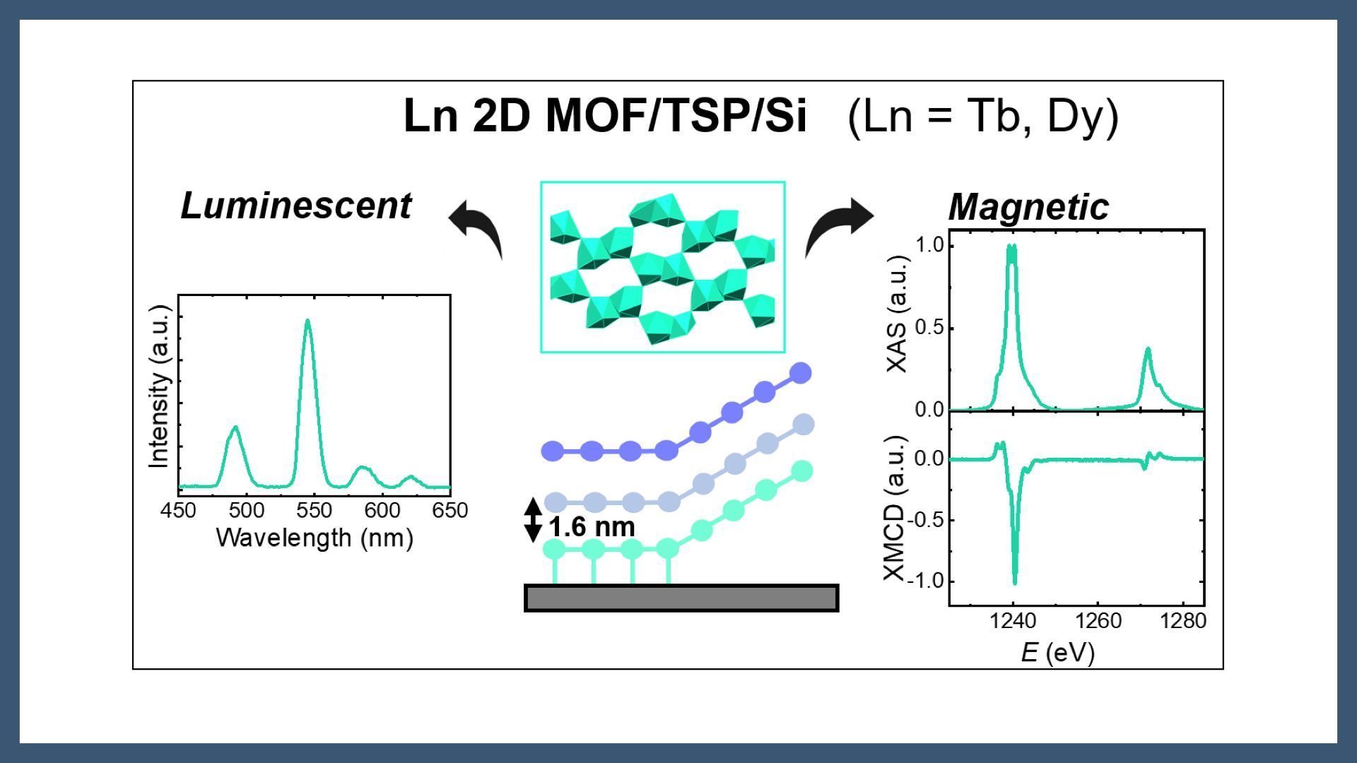 Magnetic and luminescent lanthanoid (Ln = Tb, Dy) 2D MOFs on functionalized silicon