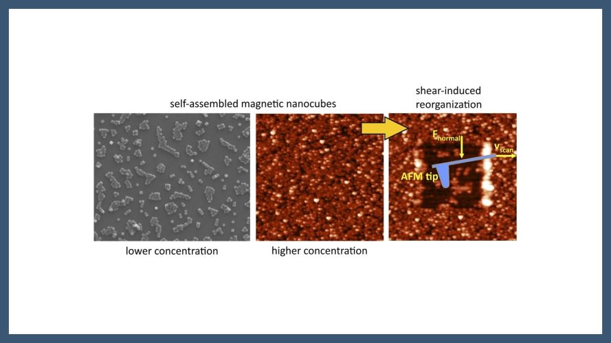 Evidence of dipolar magnetic interactions in the self-assembly of two-dimensional magnetic nanocubes