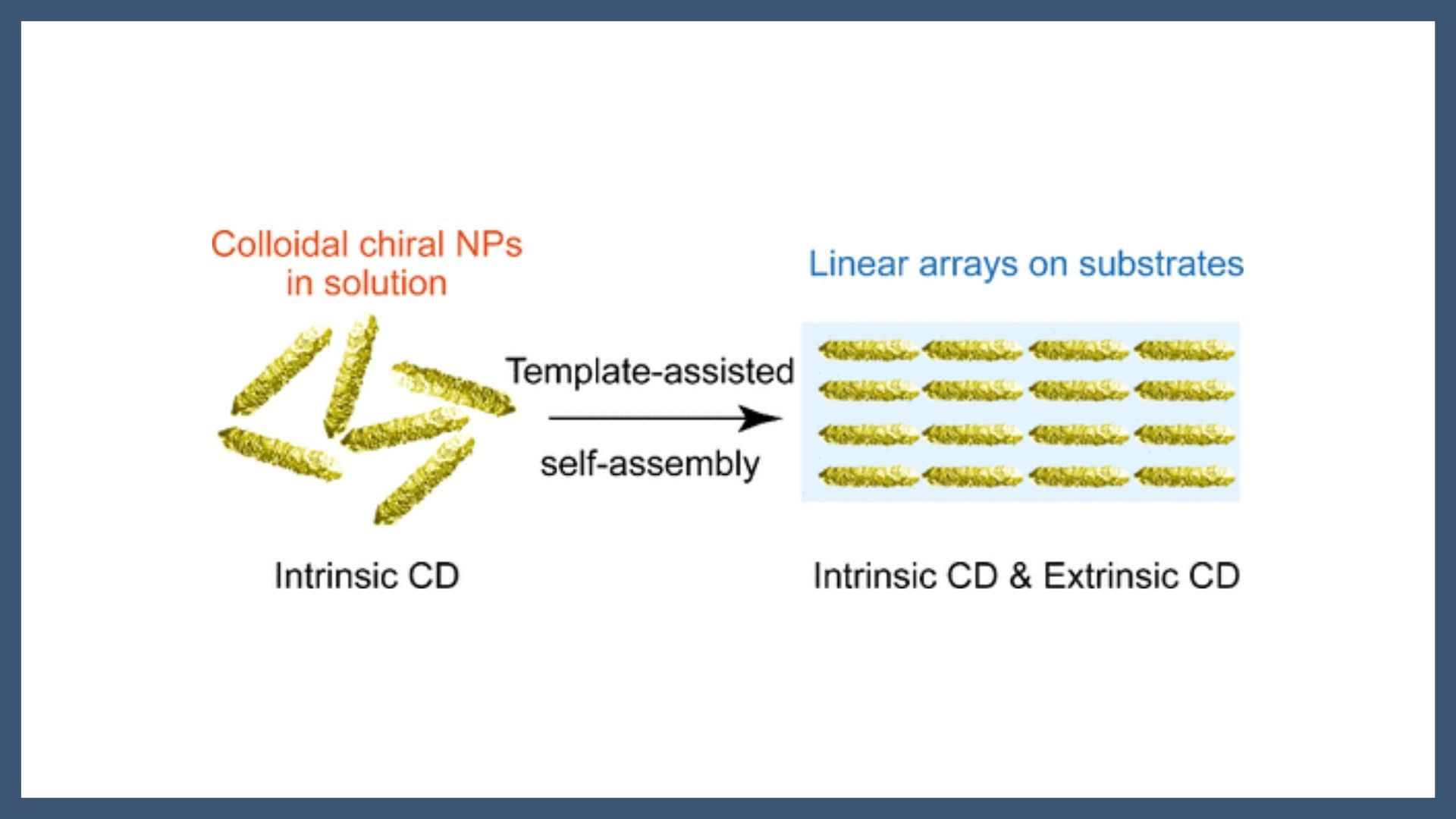 Intrinsic and Extrinsic Circular Dichroism in Linear Arrays of Anisotropic Chiral Nanoparticles