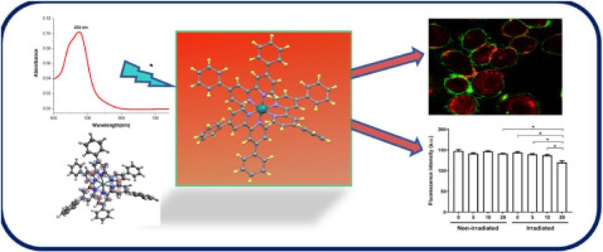 Developing photo-activable ruthenium (II) complexes for PDT: Synthesis, characterization, photophysical and biological studies