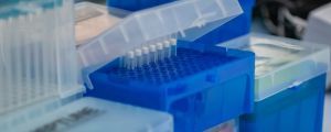Pipettes | ICMAB, CSIC