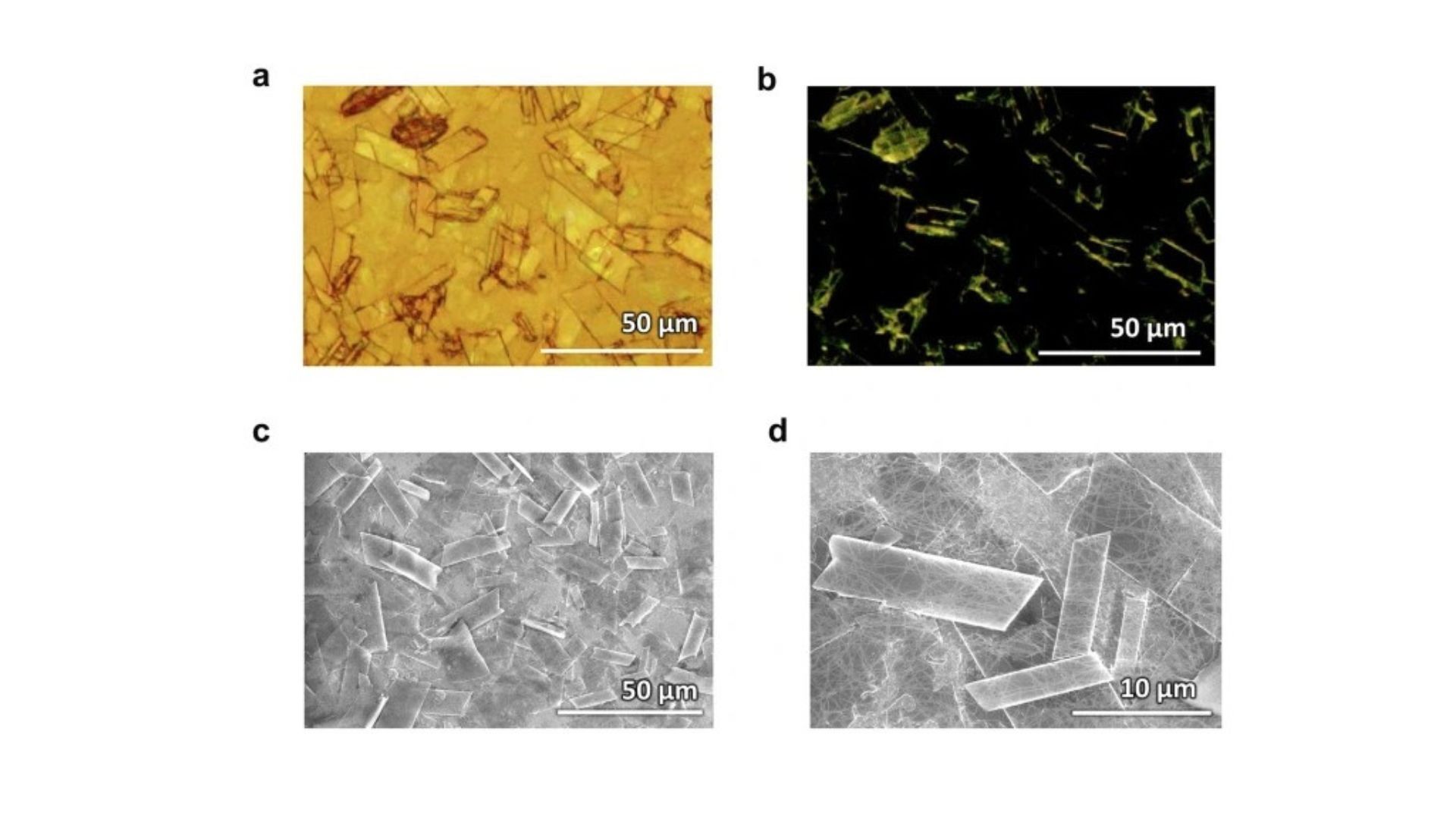 Photon upconversion crystals doped bacterial cellulose composite films as recyclable photonic bioplastics