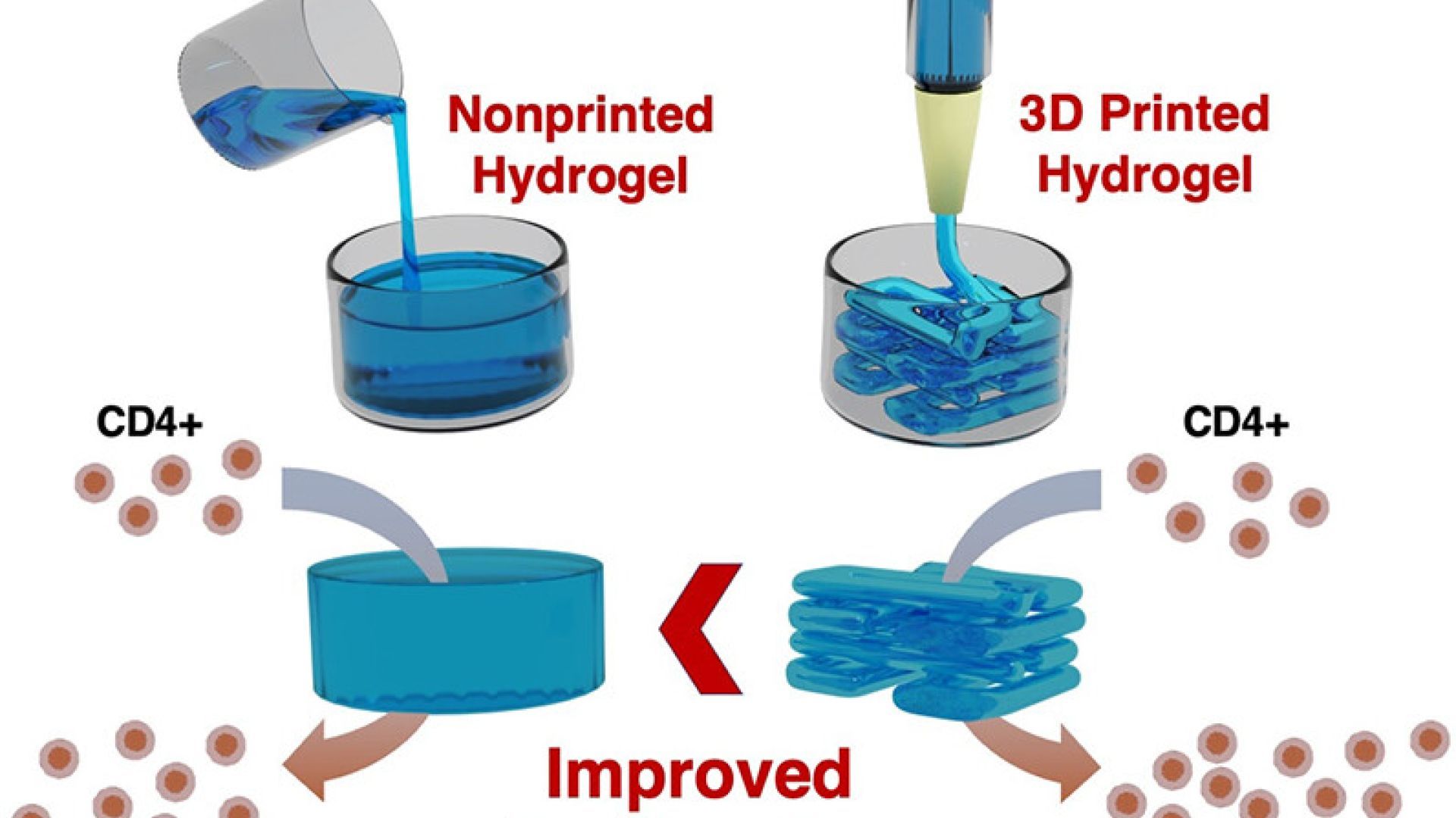 3D Printing as a Strategy to Scale-Up Biohybrid Hydrogels for T Cell Manufacture