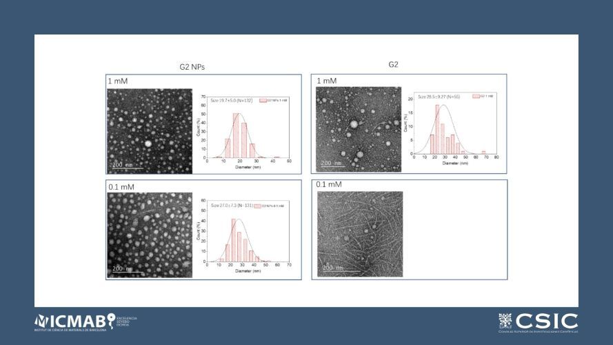 TEMPO radical-functionalized amphiphilic dendritic structures as metal-free MRI contrast agents from fibers to nanoparticles
