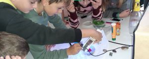Escola Itaca for the Science Week 2022