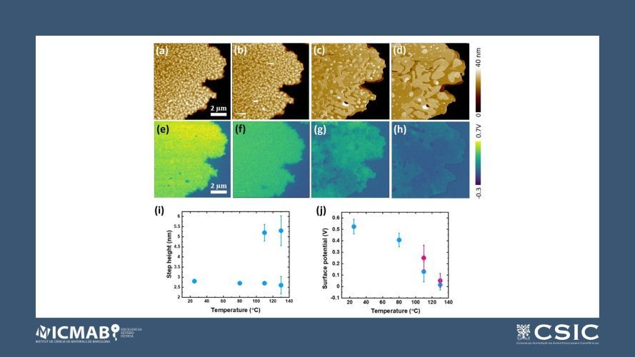 Thickness Dependent Structural Transition in Ph-BTBT-10 Thin Films and Stabilization of the Ubiquitous Interface Bilayer