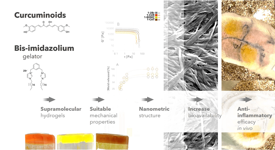 Supramolecular Hydrogels Consisting of Nanofibers Increase the Bioavailability of Curcuminoids in Inflammatory Skin Diseases