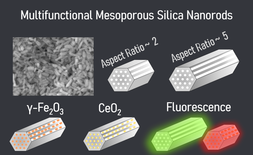 Magnetic Mesoporous Silica Nanorods Loaded with Ceria and Functionalized with Fluorophores for Multimodal Imaging