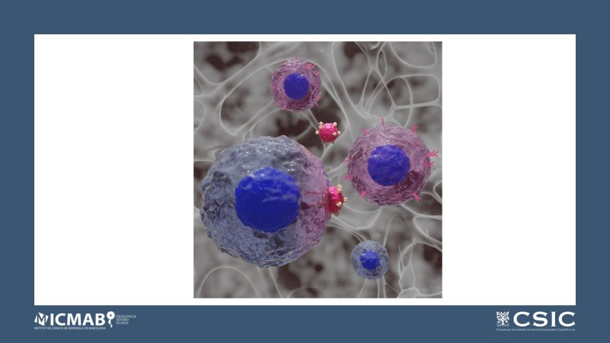 Lymph-Node Inspired Hydrogels Enhance CAR Expression and Proliferation of CAR T Cells