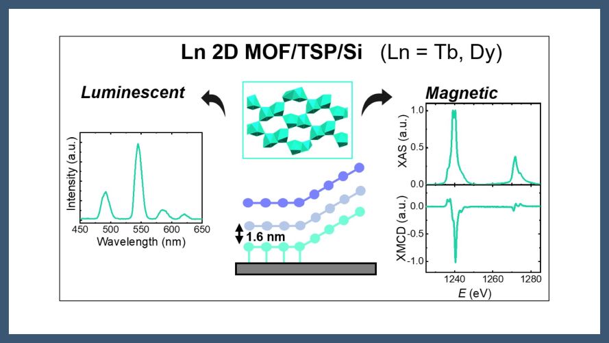 Magnetic and luminescent lanthanoid (Ln = Tb, Dy) 2D MOFs on functionalized silicon