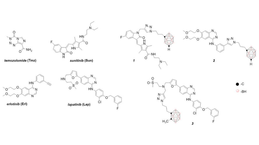 Sunitinib-Containing Carborane Pharmacophore with the Ability to Inhibit Tyrosine Kinases Receptors FLT3, KIT and PDGFR-β, Exhibits Powerful In Vivo Anti-Glioblastoma Activity