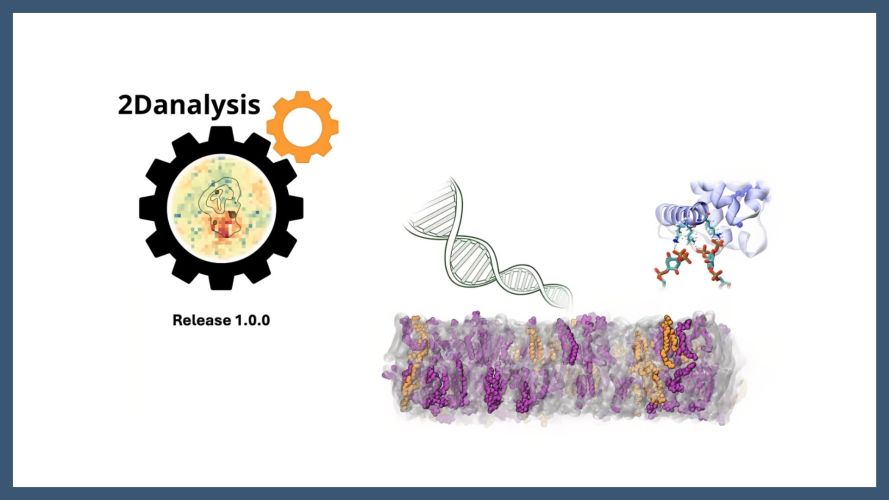 2Danalysis: A toolbox for analysis of lipid membranes and biopolymers in two-dimensional space
