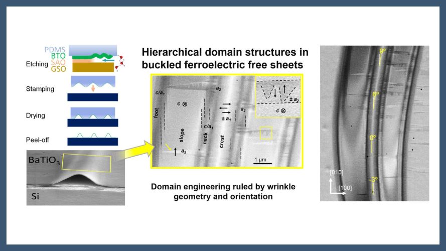Hierarchical domain structures in buckled ferroelectric free sheets