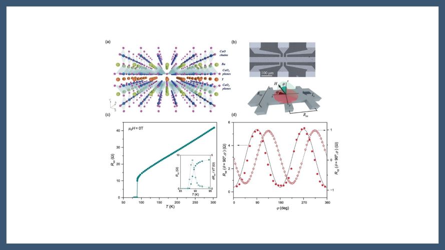 Magnetotransport Signatures of Spin–Orbit Coupling in High-Temperature Cuprate Superconductors